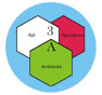 3A - Api, Apicoltura, Ambiente